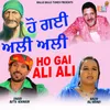 About Ho Gai Ali Ali Song